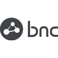 Business Network Consulting Business Network Consulting